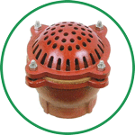 Foot Valve (Cast Iron)