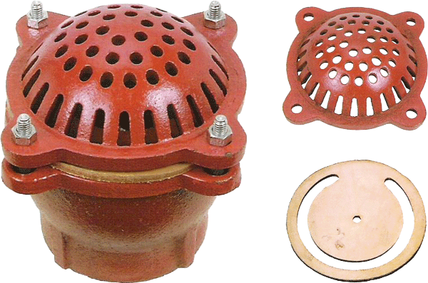 Foot Valve with Strainer (Cast Iron)