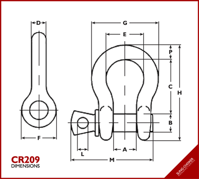 CR209 Diagram